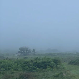 Meet your Posher, Claire